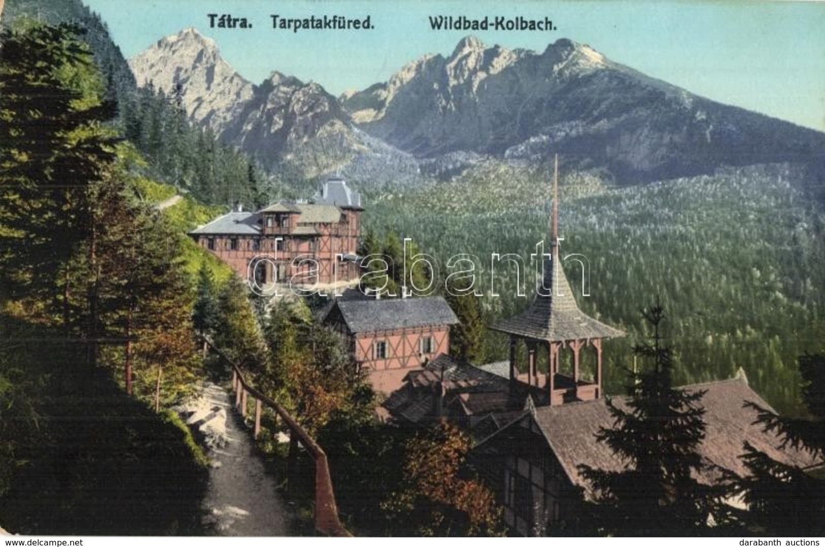 ** T1/T2 Tátra, Tarpatakfüred, Wildbad Kohlbach; Cattarino S. Utóda Földes Samu Kiadása 163. - Non Classés