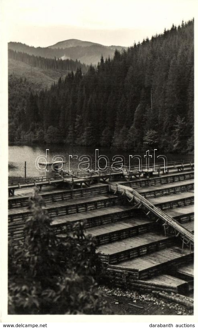 ** T1 Hoverla, Tisza Gát / Dam - Ohne Zuordnung