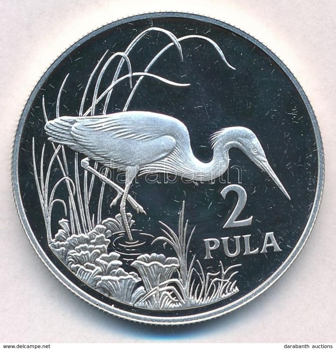 Botswana 1986. 2P Ag 'Zambézi Kócsag' T:PP Felületi Karc
Botswana 1986. 2 Pula Ag 'Slaty Egret' C:PP Slightly Scratched
 - Unclassified