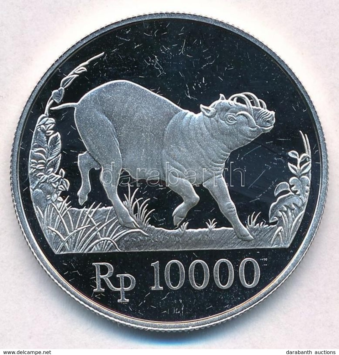 Indonézia 1987. 10.000R Ag 'Babirussza' T:PP Felületi Karc
Indonesia 1987. 10.000 Rupiah Ag 'Babirusa' C:PP Slightly Scr - Unclassified