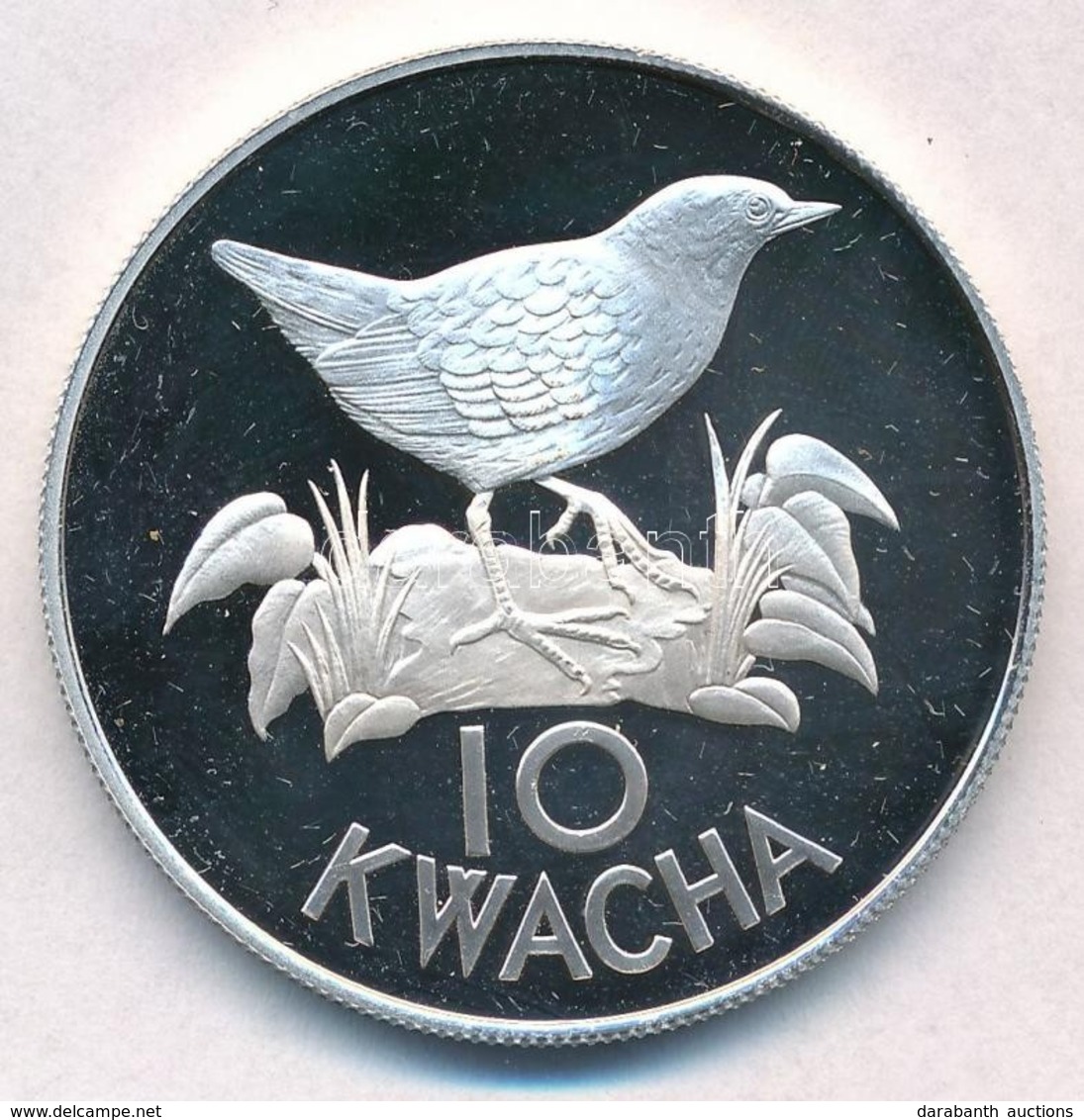 Zambia 1986. 10K Ag 'Fehérszárnyú Bolyhosfarkúmadár' T:PP Felületi Karc
Zambia 1986. 10 Kwacha Ag 'Whitewinged Flufftail - Unclassified