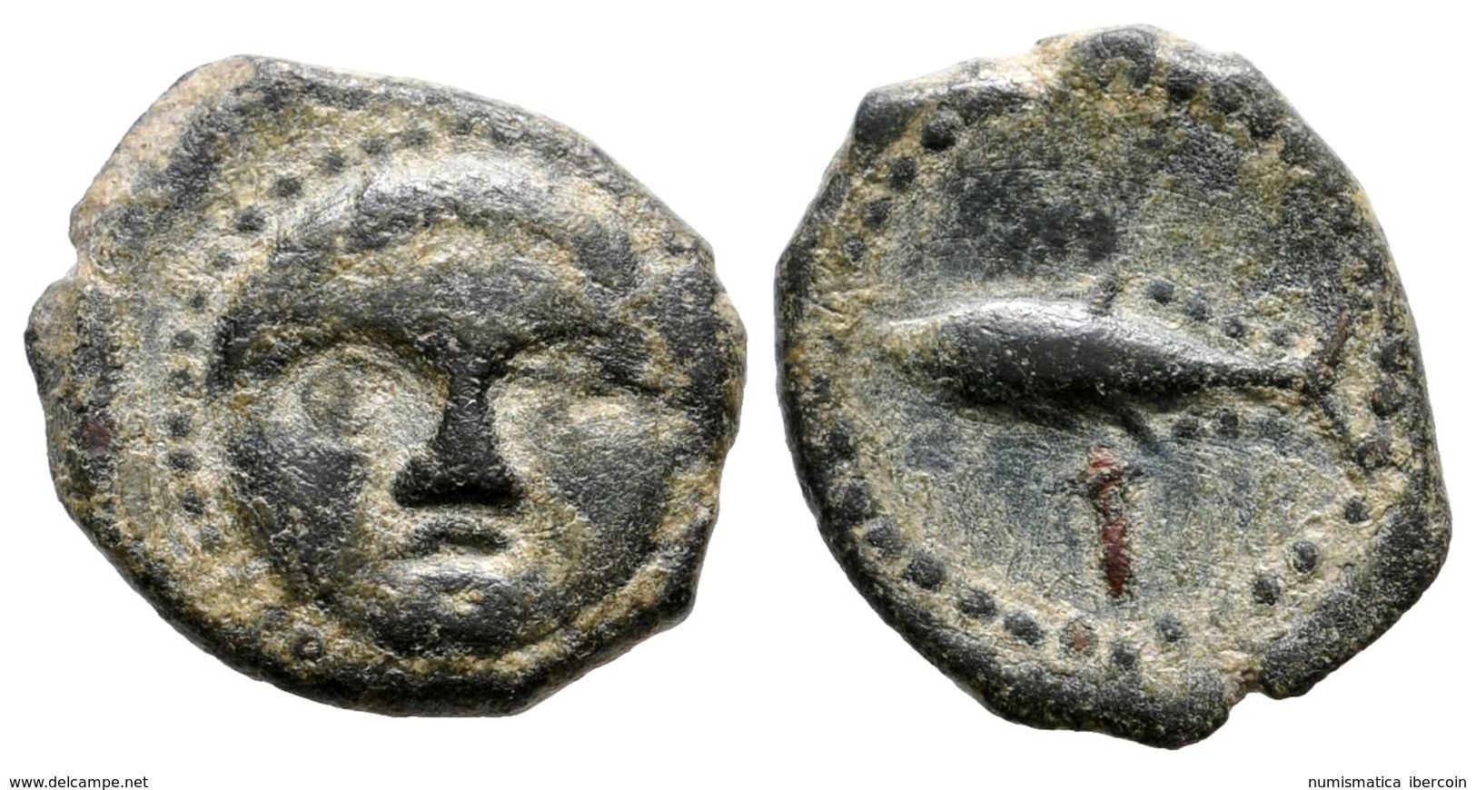 123 GADES. 1/2 Calco. 300-200 A.C. Cádiz. A/ Cabeza Frontal De Helios. R/ Atún A Izquierda, Debajo Alef. FAB-1330. Ae. 2 - Sonstige & Ohne Zuordnung