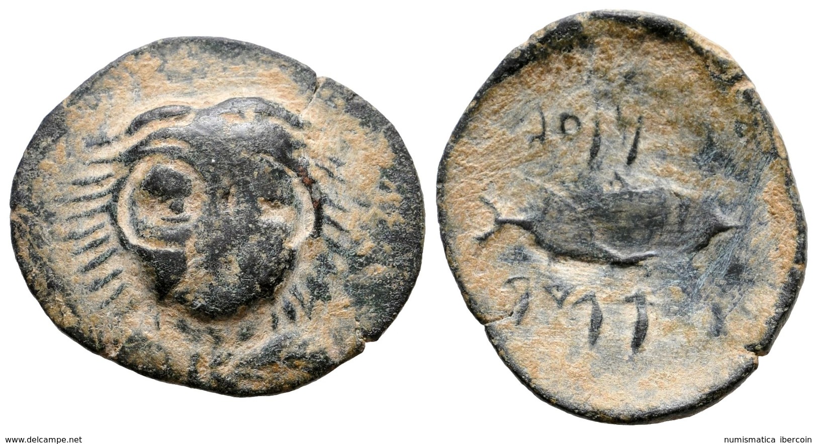 124 GADES. Calco. 300-200 A.C. Cádiz. A/ Cabeza Frontal De Melkart Con Piel De León. R/ Atún A Derecha, A Ambos Lados Le - Otros & Sin Clasificación