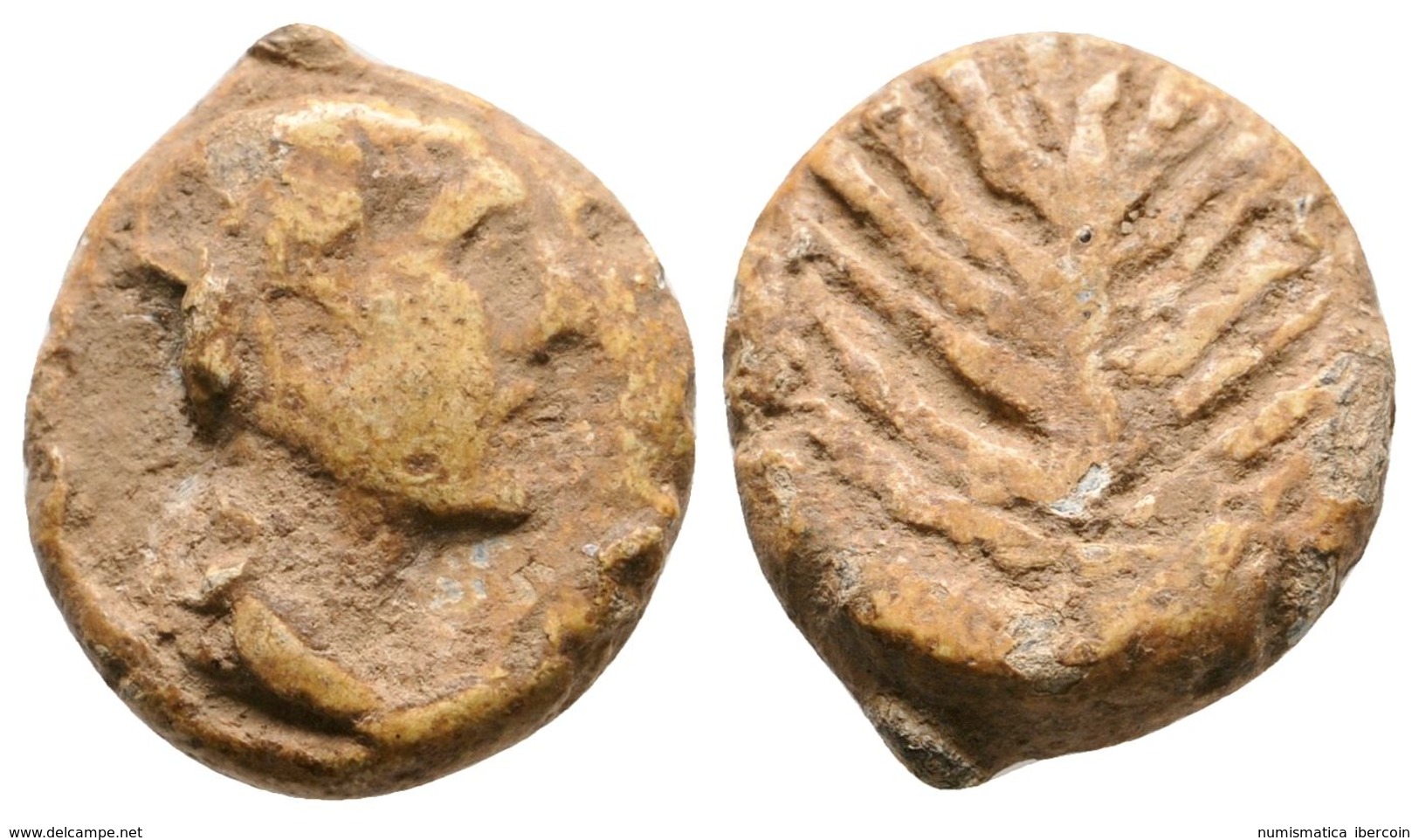 163 SEARO. Plomo Monetiforme. 120-50 A.C. Utrera (Sevilla). A/ Cabeza Masculina A Derecha. R/ Espiga. CCP-19.1. Pb. 6,18 - Otros & Sin Clasificación