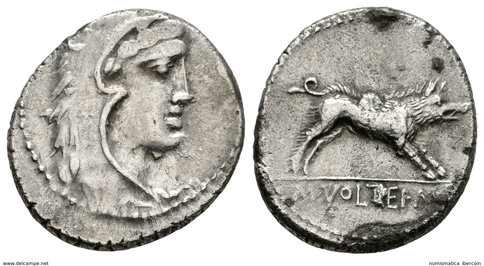 223 M. VOLTEIUS. Denario. 78 A.C. Roma. A/ Busto De Hércules Joven A Derecha Cubierto Con Piel De León. R/ Jabalí A Dere - Republiek (280 BC Tot 27 BC)
