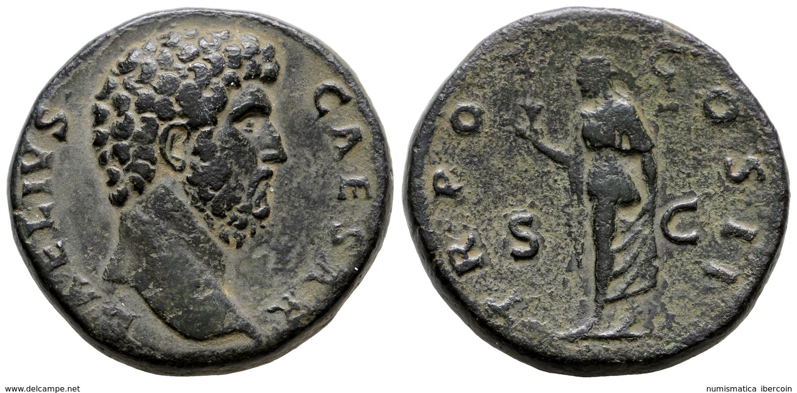 256 AELIO. Sestercio. 136-138 D.C. Roma. A/ Cabeza Desnuda A Derecha. AELIVS CAESAR. R/ Spes Avanzando A Izquierda Con F - Republiek (280 BC Tot 27 BC)