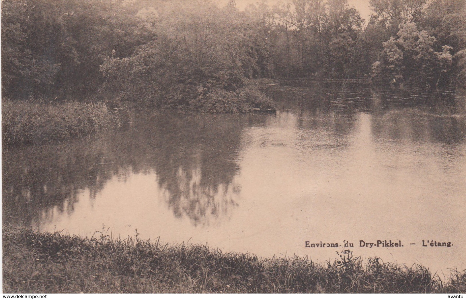 MEISE / DE DRY PIKKEL / DE VIJVER - Meise