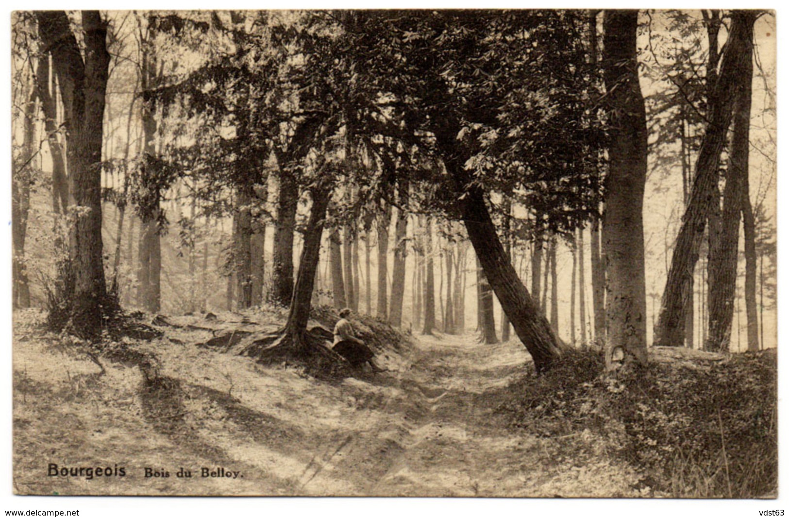 BOURGEOIS Rixensart - Bois De BELLOY Animée Promeneuse Allée / < 1930 - Rixensart