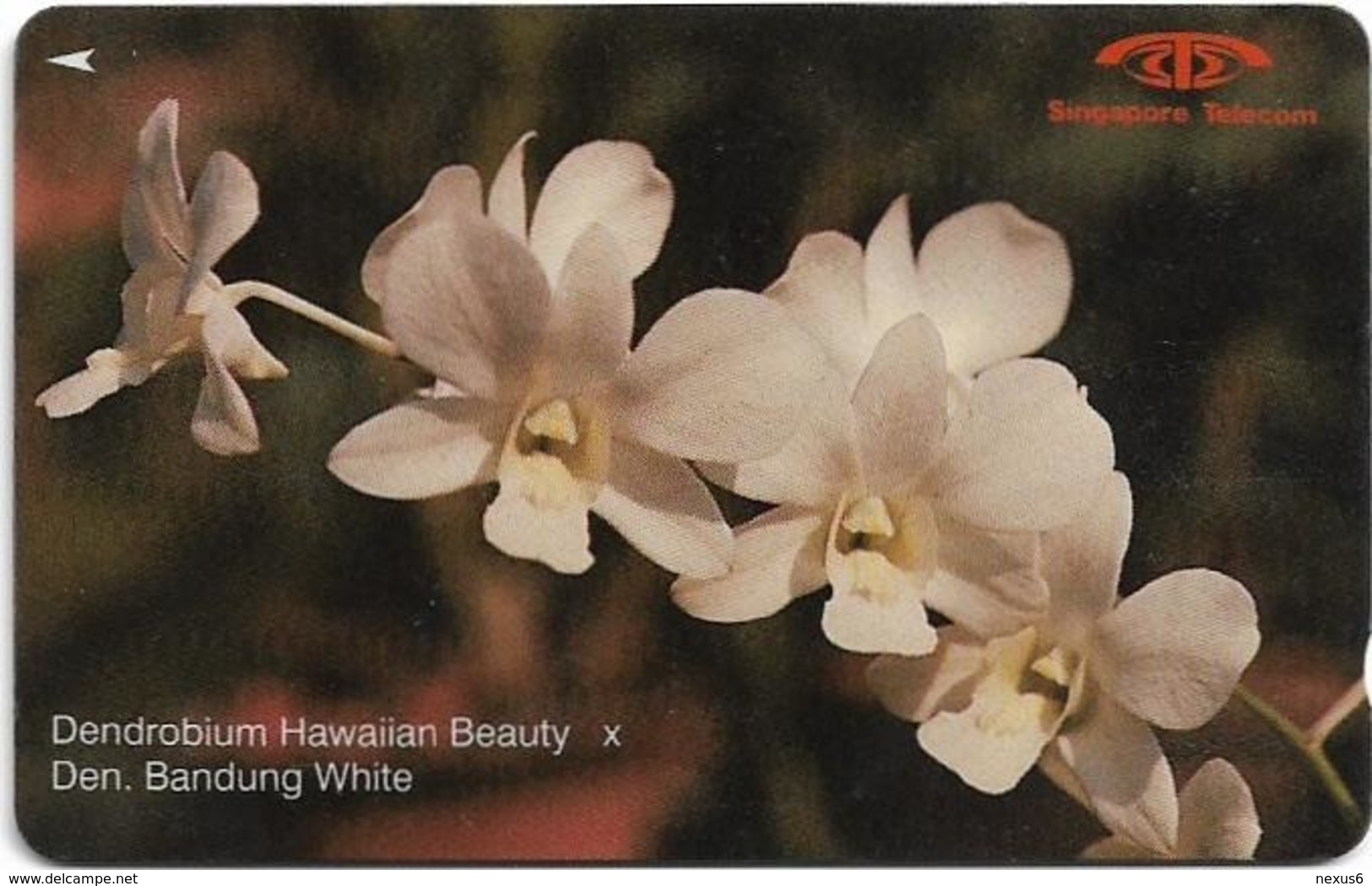 Singapore - Dendrobium Hawaiian Beauty, Orchids, 11SIGC, 1991, 630.000ex, Used - Singapour