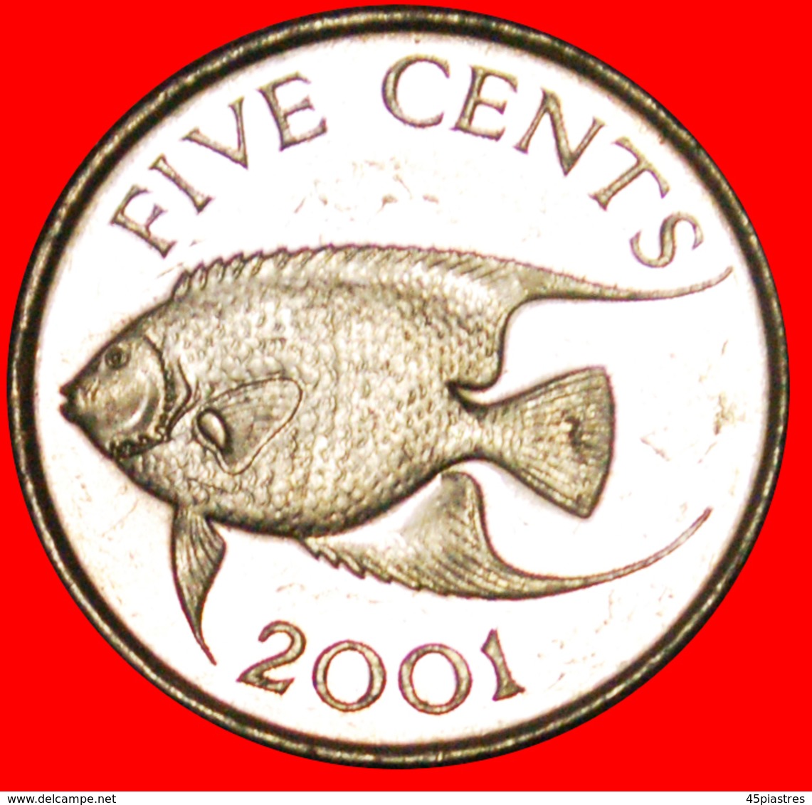 # FISH: BERMUDA ★ 5 CENTS 2001! LOW START ★ NO RESERVE! - Bermudas