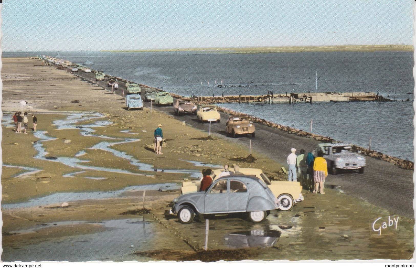 Finistère  :  SAINT  POL  De  LEON  :  Vues   ( Artichaud )Vendée :  Passage  Du  Gois ,  Voiture  2  Chevaux  Citroën , - Ile De Noirmoutier