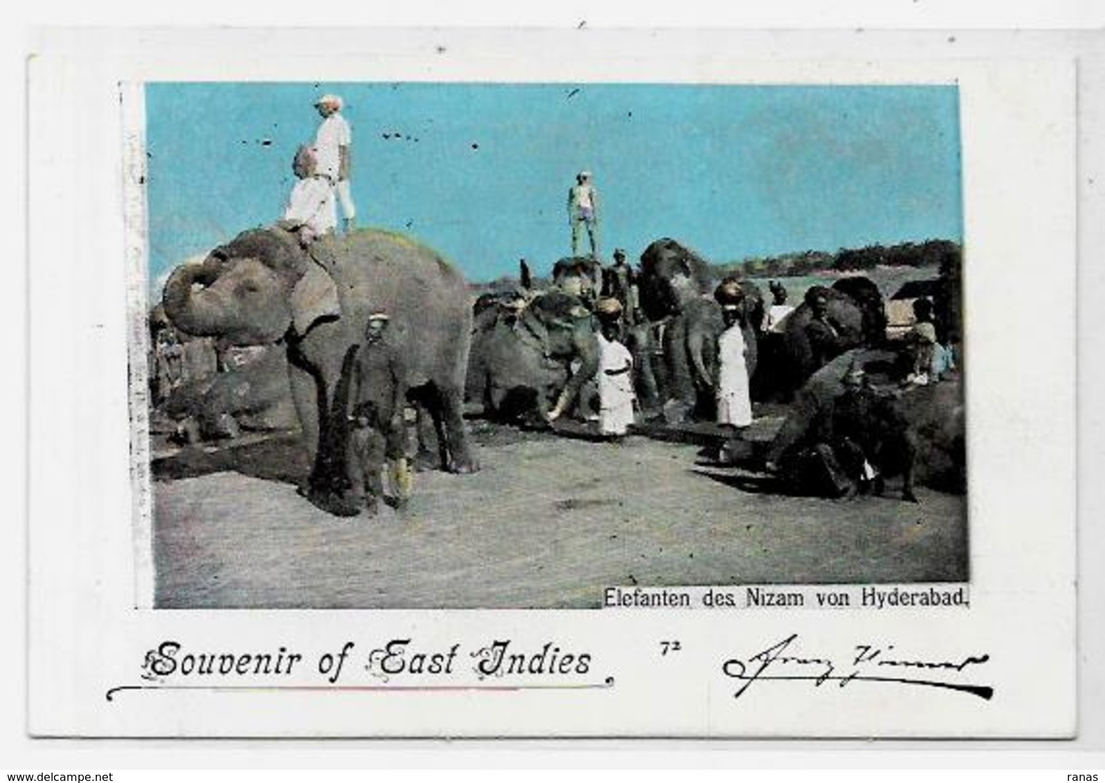 CPA éléphant ELEPHANT Non Circulé Inde India - Elephants