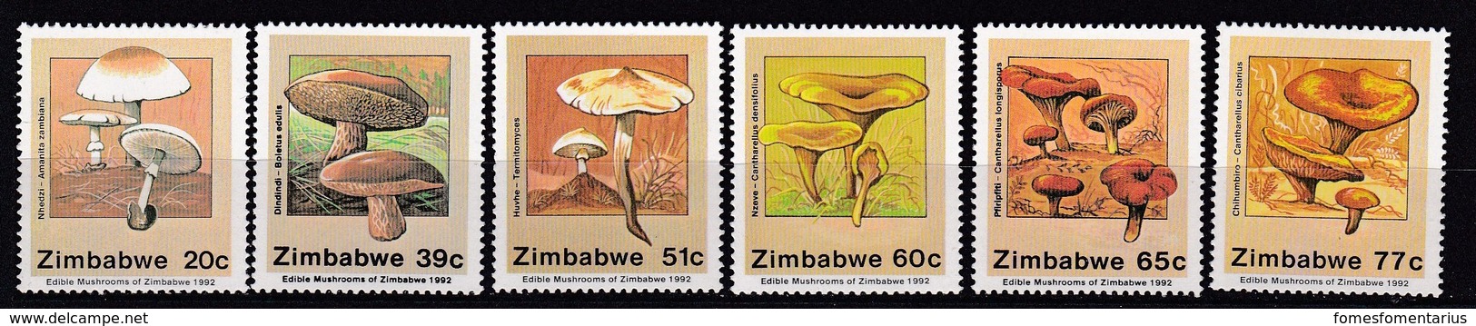 6 Timbres Absolument Neufs** TTB Champignons Du Zimbabwe Mushroomm Cogumelo  Setas - Champignons