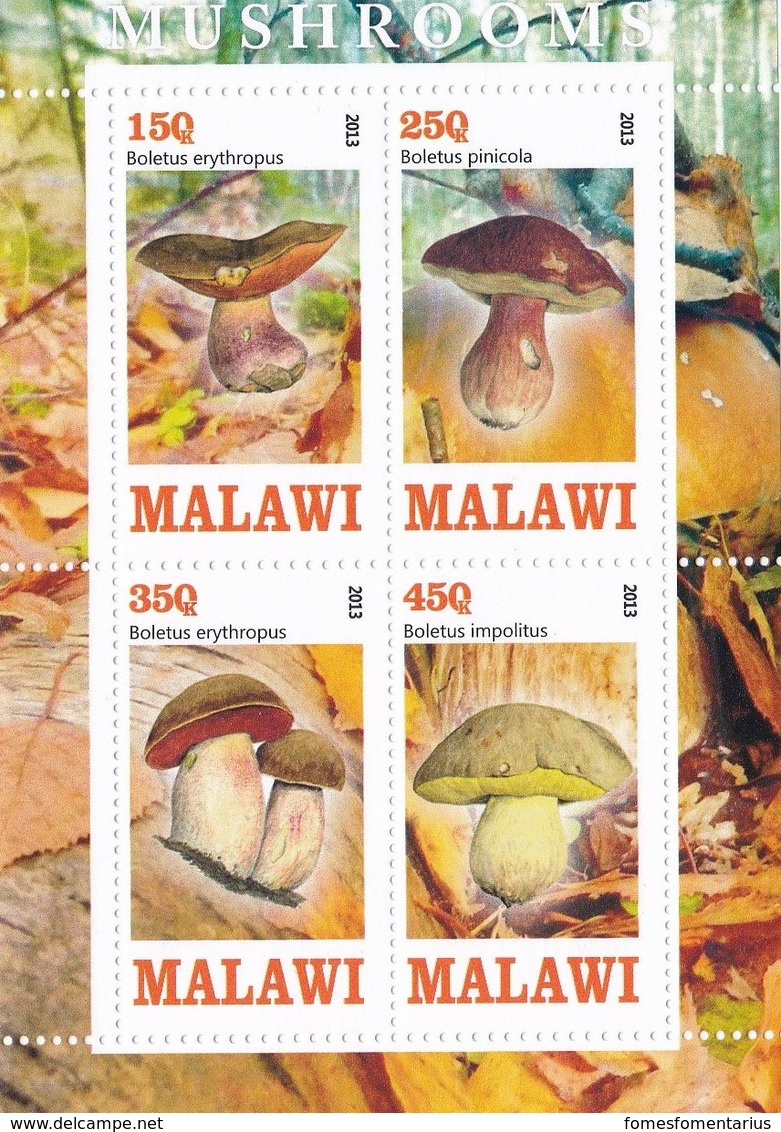 1 Feuillet ** De 4 Timbres De Malawi Champignon Mushroom  Cogumelo  Setas - Champignons