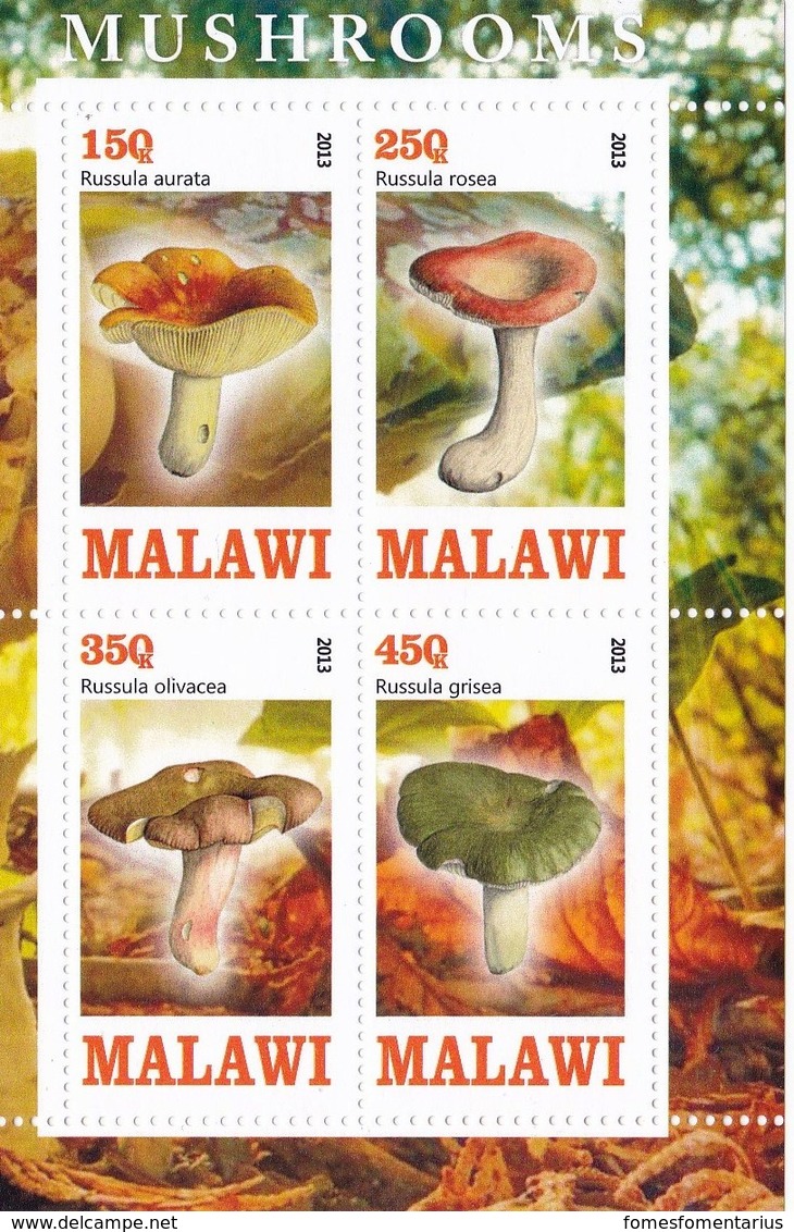 1 Feuillet ** De 4 Timbres De Malawi Champignon Mushroom  Cogumelo  Setas - Champignons