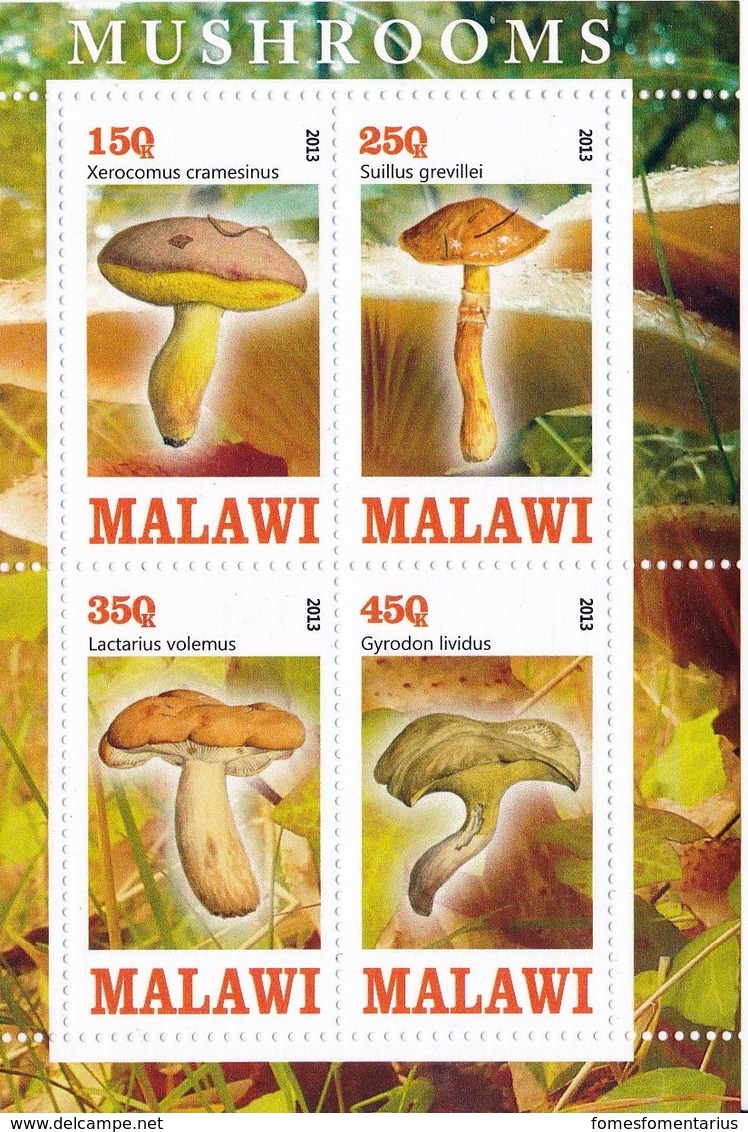 1 Feuillet ** De 4 Timbres De Malawi Champignon Mushrrom  Cogumelo  Setas - Hongos