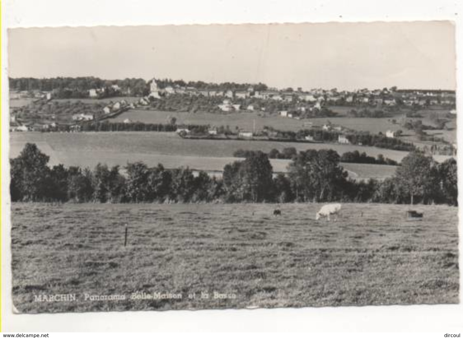 38402  -  Marchin  Panorama Belle Maison Et La Basse - Marchin