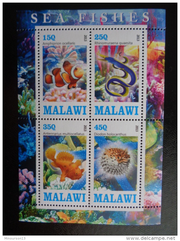 2013 BLOC DENTELE 4 TIMBRES ** - POISSONS DE LA MER - Malawi (1964-...)