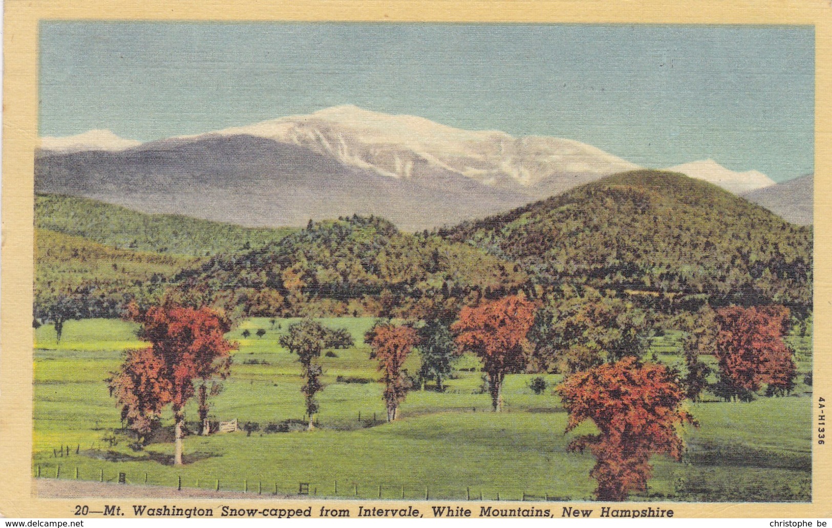 Mr Washington Snow Capped From Intervale, WHite Mountains, New Hampshire  USA (pk47317) - White Mountains