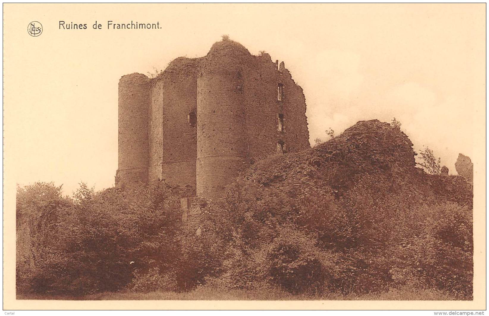 Ruines De FRANCHIMONT - Theux