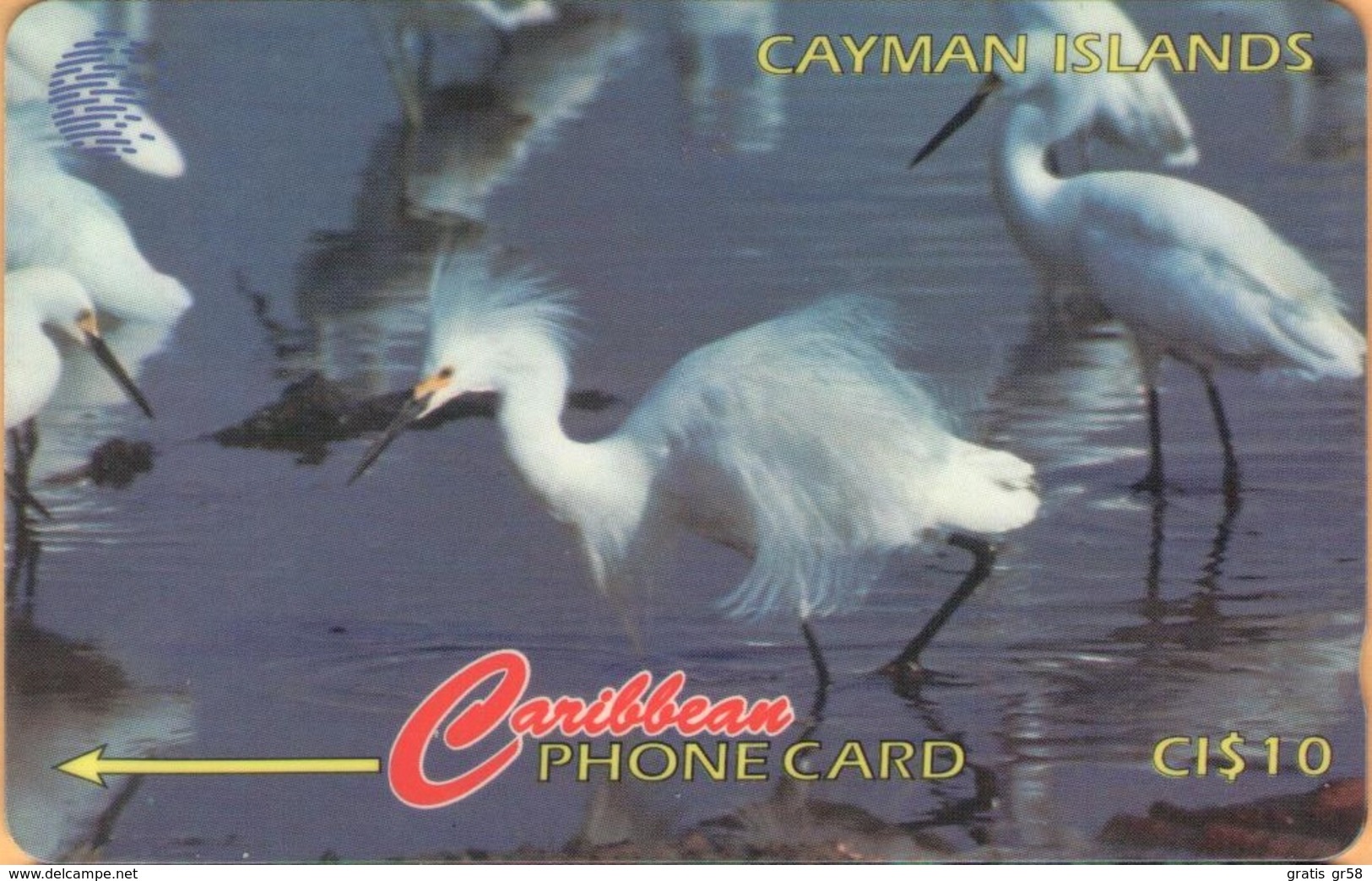 Cayman Island - CAY-13C, GPT, 13CCIC, Snowy Egret, Birds, 10 $, 25.000ex, 1995, Used - Kaimaninseln (Cayman I.)