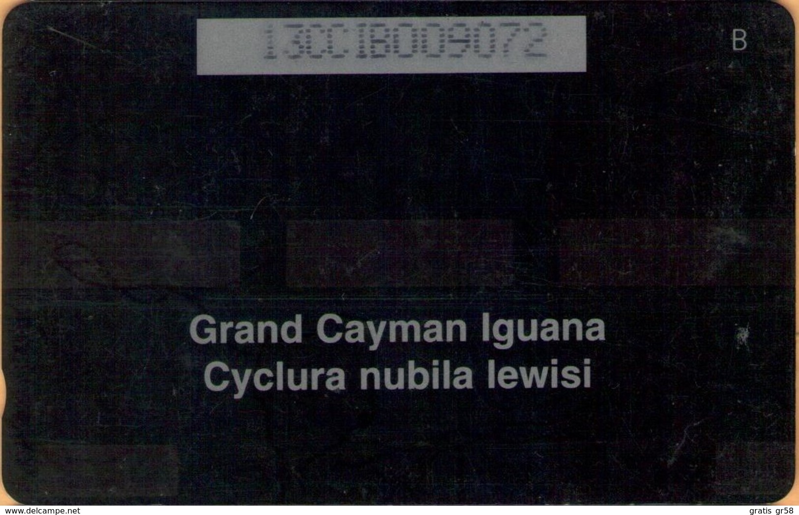 Cayman Island - CAY-13B, GPT, 13CCIB, Cayman Iguana, 10 $, 25.000ex, 1995, Used - Kaimaninseln (Cayman I.)