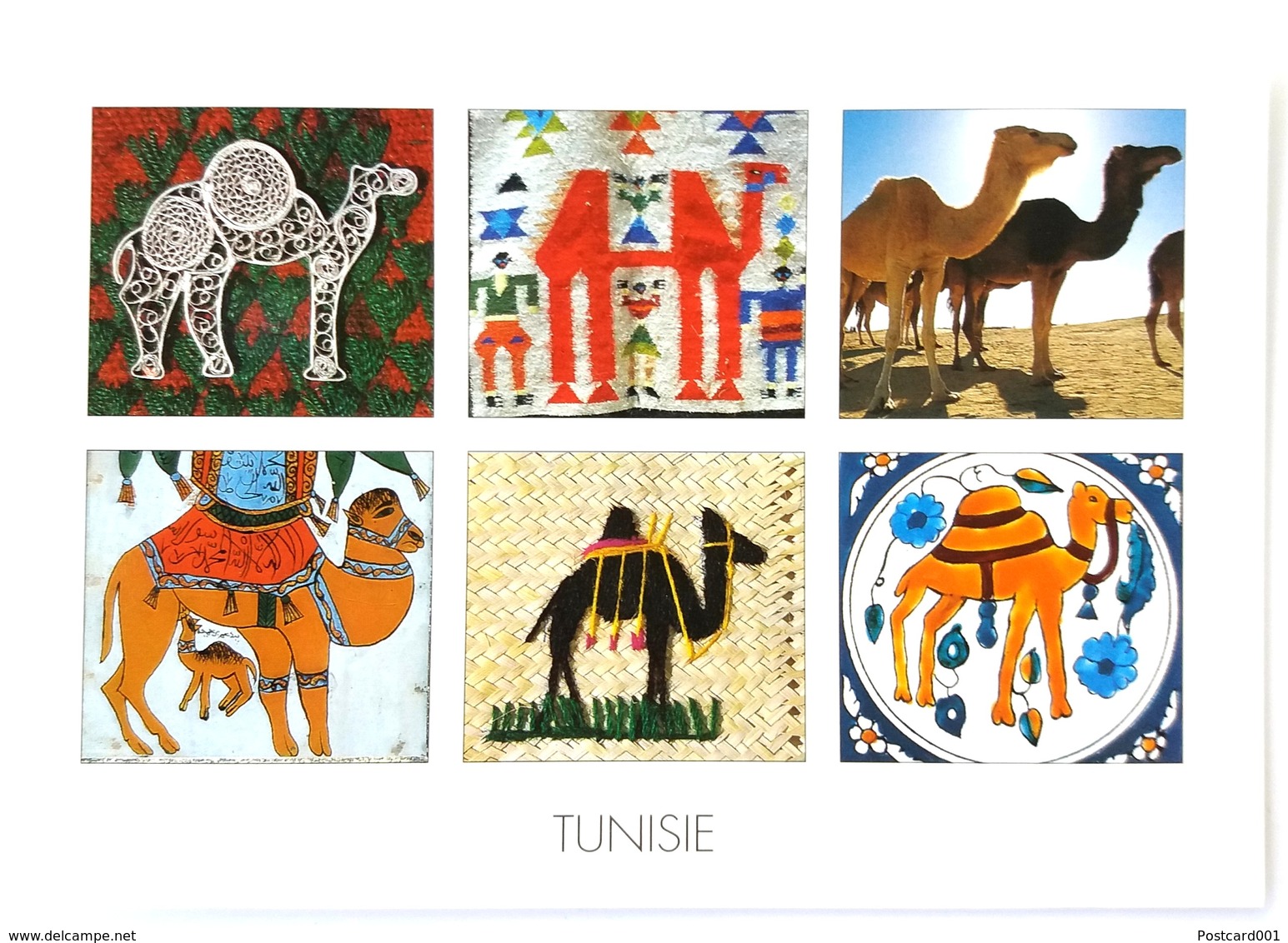 #332  Images Of CAMELS - TUNISIA  North Africa- Postcard - Autres & Non Classés