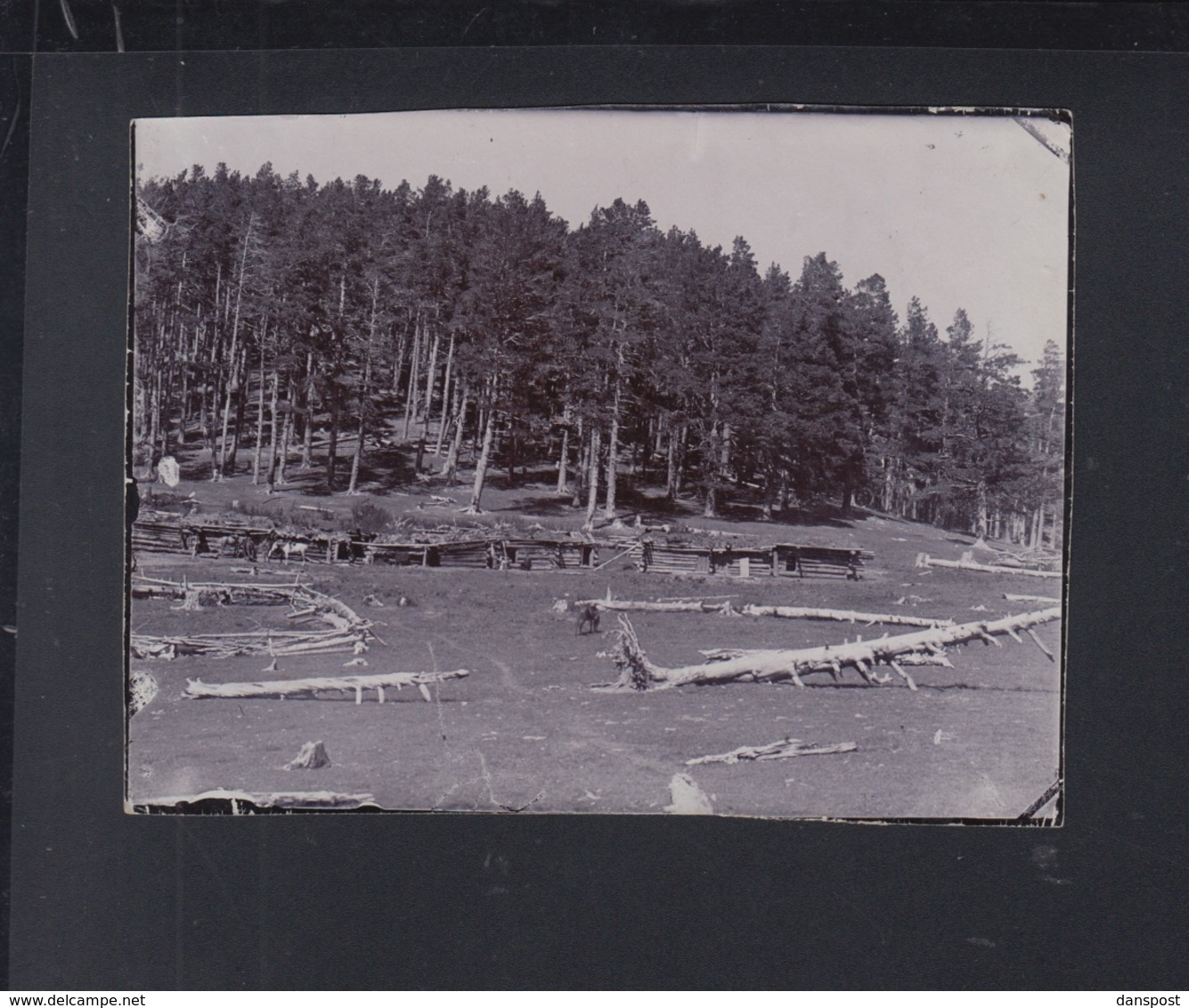 Latvia Photo Russian Positions Near Riga 1917 - Latvia