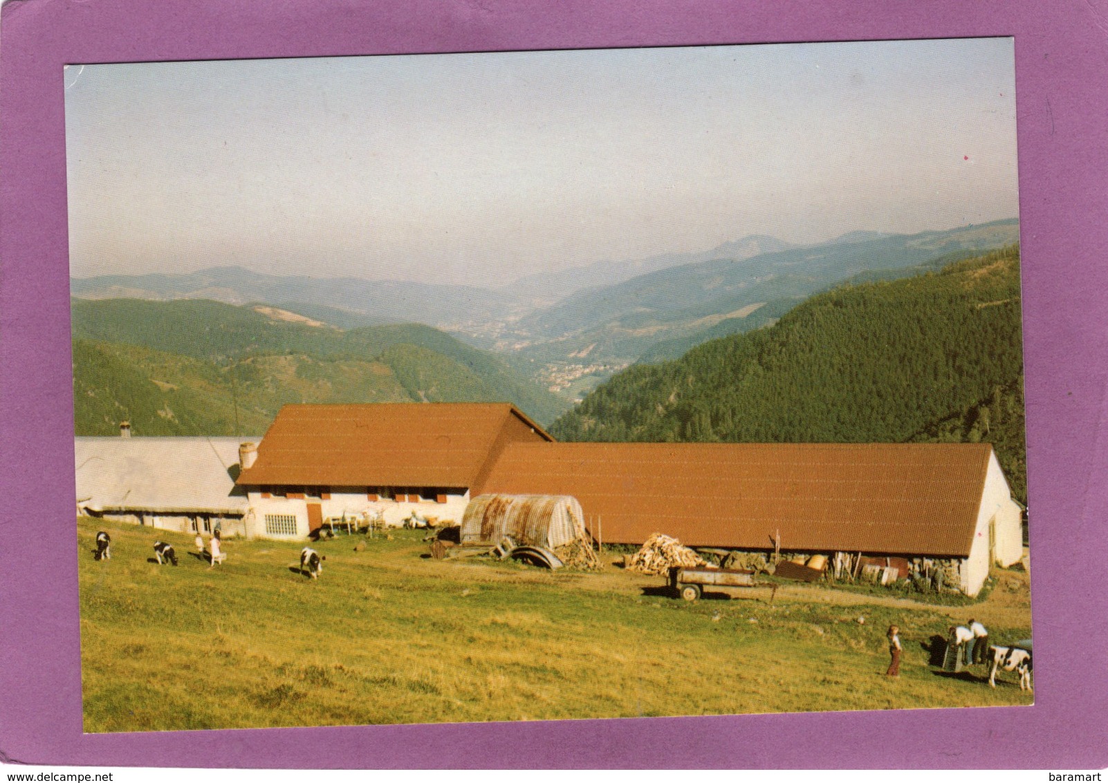 68 Ferme Auberge STEINWASEN  METZERAL Propriétaire Martin BRAESCH  AU CENTRE DE LA ROUTE DES CRETES - Otros & Sin Clasificación