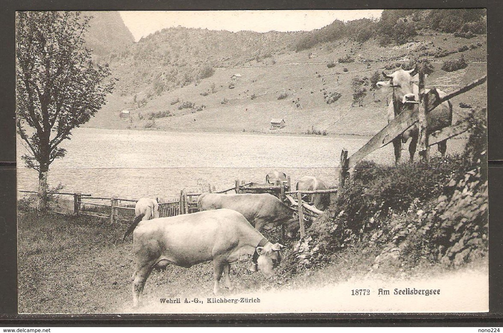 Carte P ( Suisse / Les Vaches ) - Vaches