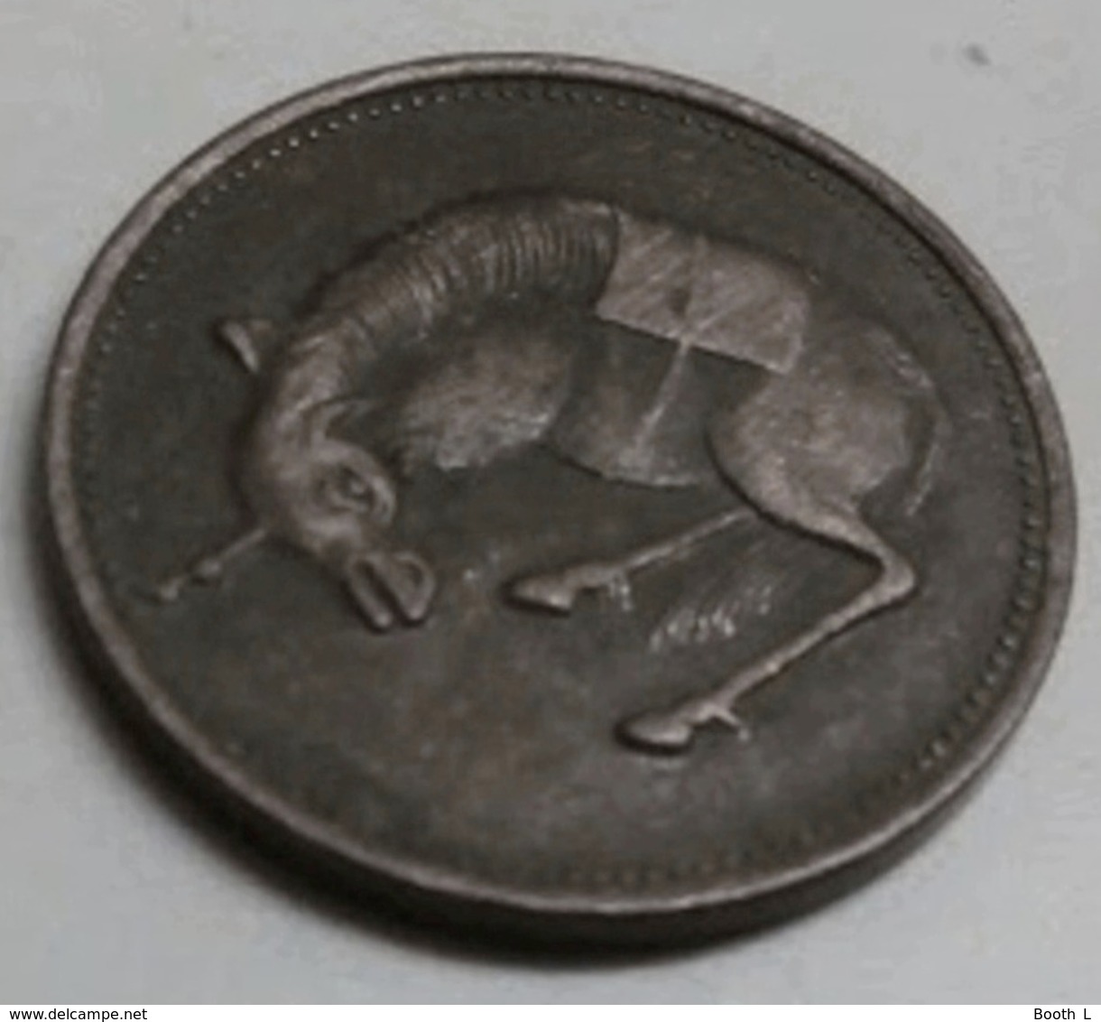 China Horse Coin Token 22 Mm 4.4gm Unknown Unchecked - Chine