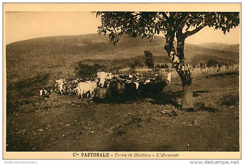 150618A - CAMEROUN Cie Pastorale - Ferme De DJUTTITSA L'abreuvoir - Cameroun