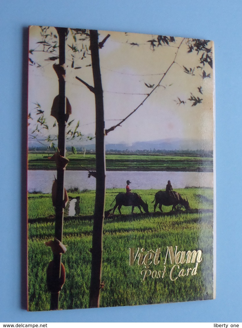 VIET NAM Post Card ( Carnet Of 10 Cards ) Fine Arts Editions - Anno 19?? ( Zie Foto's ) ! - Viêt-Nam