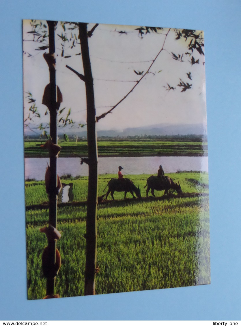 VIET NAM Post Card ( Carnet of 10 Cards ) Fine Arts Editions - Anno 19?? ( zie foto's ) !