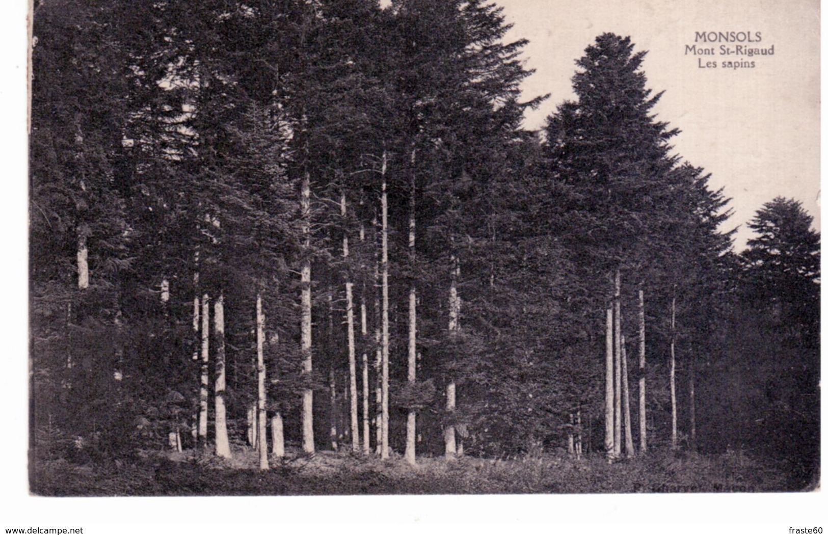 & Monsols - Mont Saint Rigaud - Les Sapins - Other & Unclassified