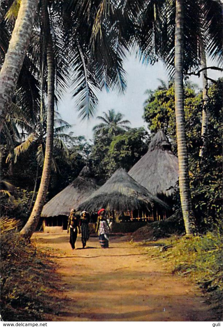 Afrique-CÔTE D'IVOIRE Village Sous Les Palmes (Palm-trees Tree Arbres Arbre)  ( - Editions Hoa-Qui 3213 *PRIX FIXE - Côte-d'Ivoire