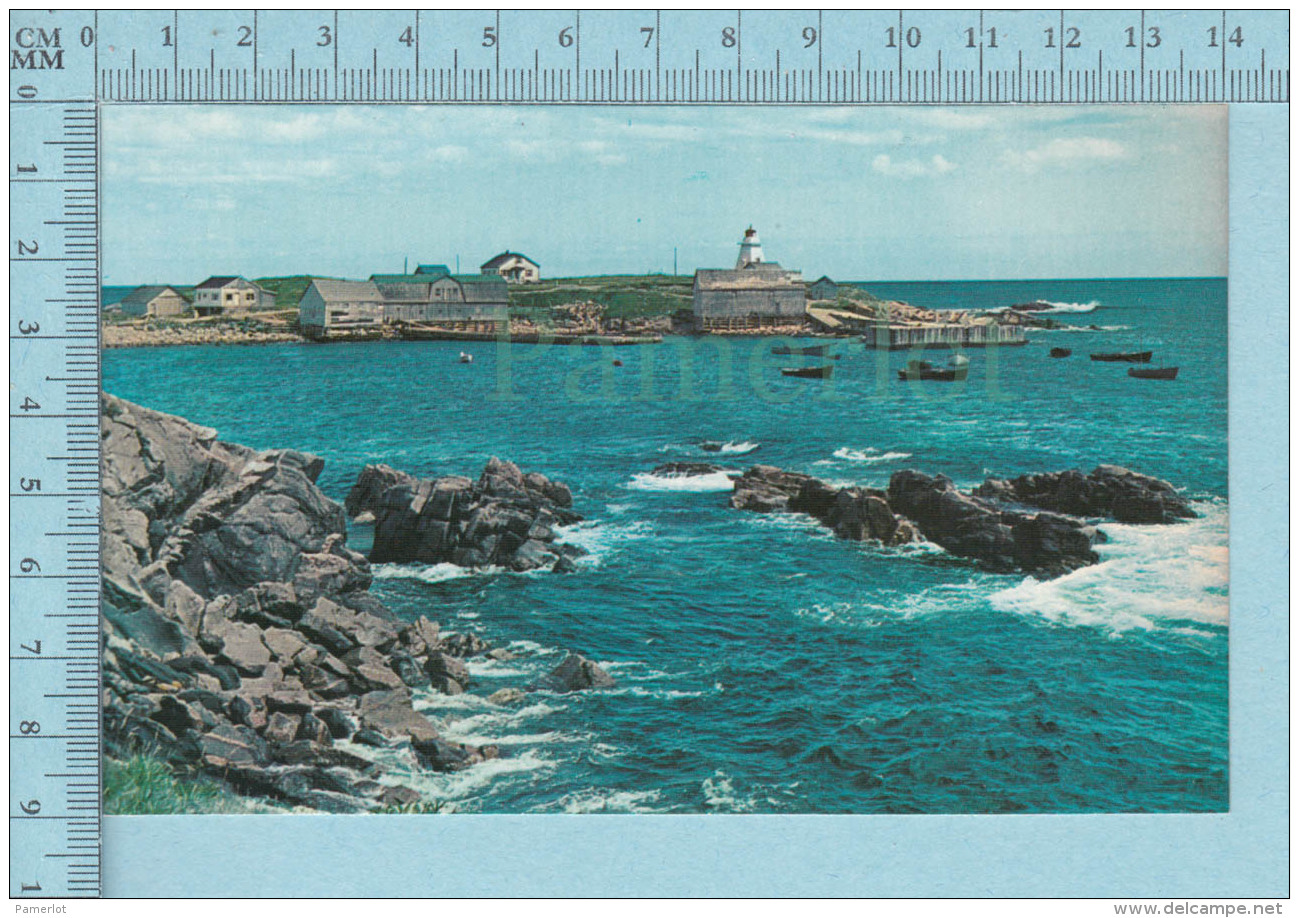 Nova Scotia Canada  -Neil's Harbour, An Active Fishing Village Near Cabot Trail-  Postcard,  Carte Postale - Cape Breton