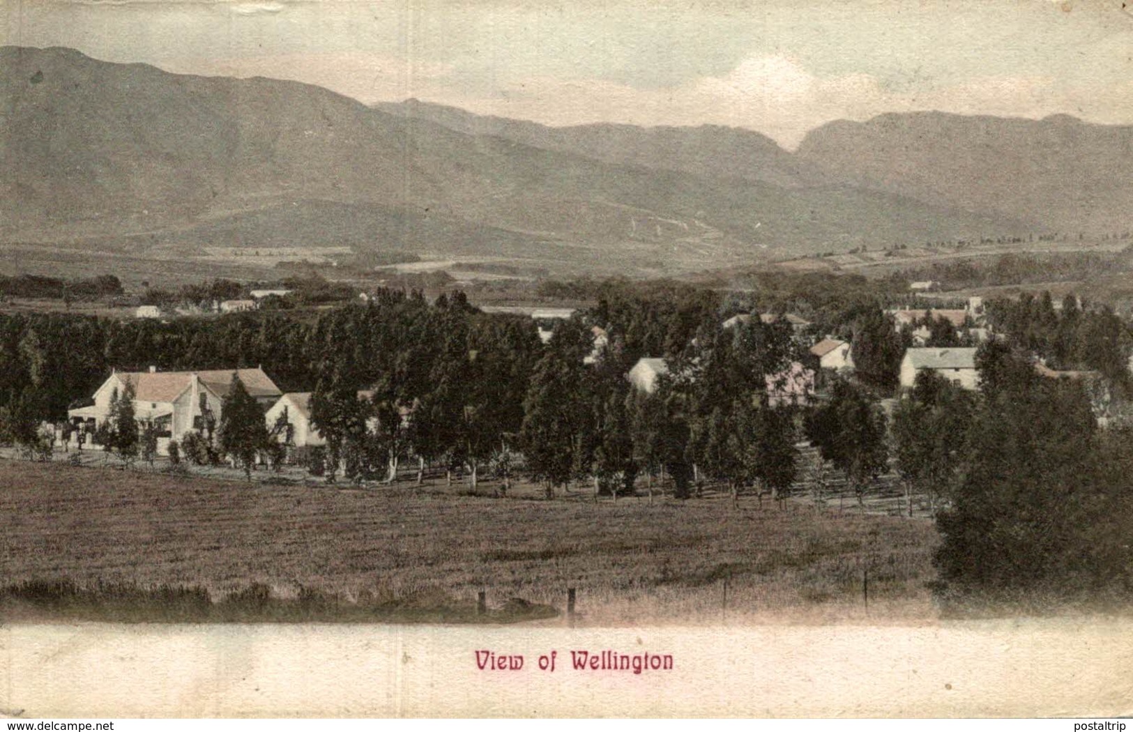 VIEW OF WELLINGTON  -   NEW ZEALAND POST CARD - Nueva Zelanda