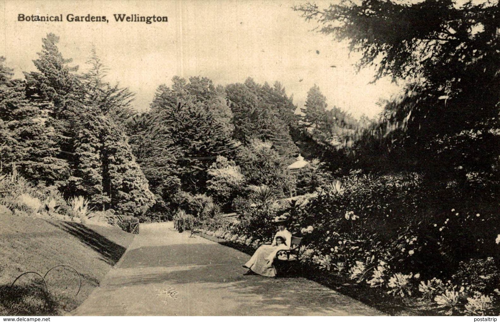 BOTANICAL GARDENS, WELLINGTON  -   NEW ZEALAND POST CARD - New Zealand