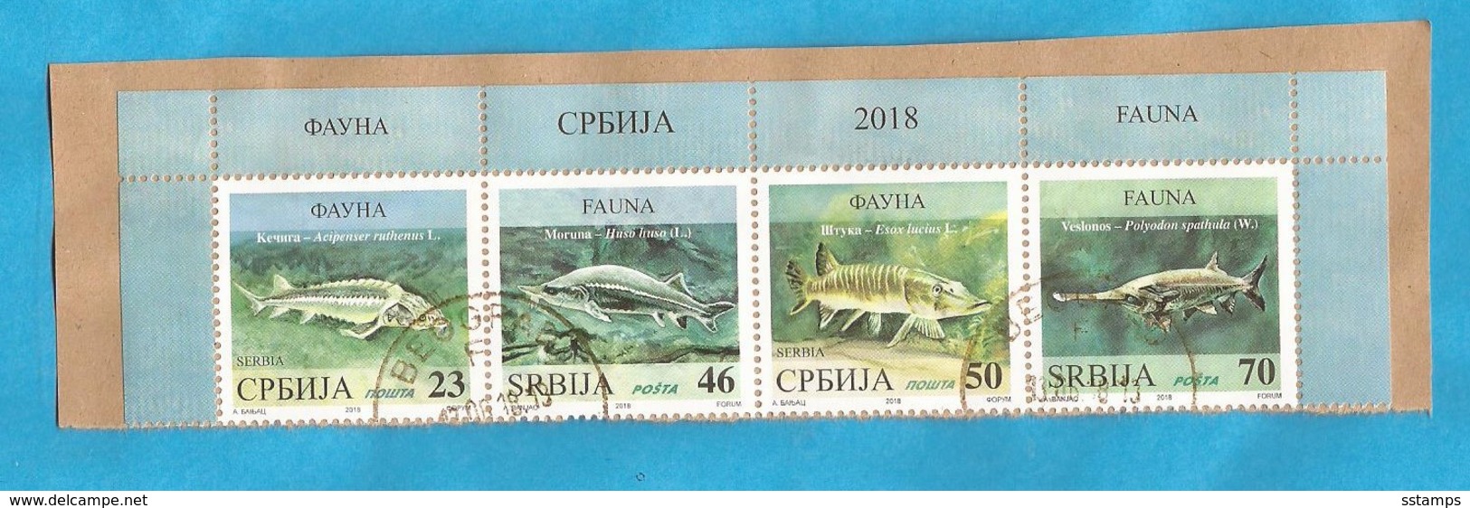 2018  WWF FAUNA FISCHE   JUGOSLAVIJA JUGOSLAWIEN USED - Used Stamps