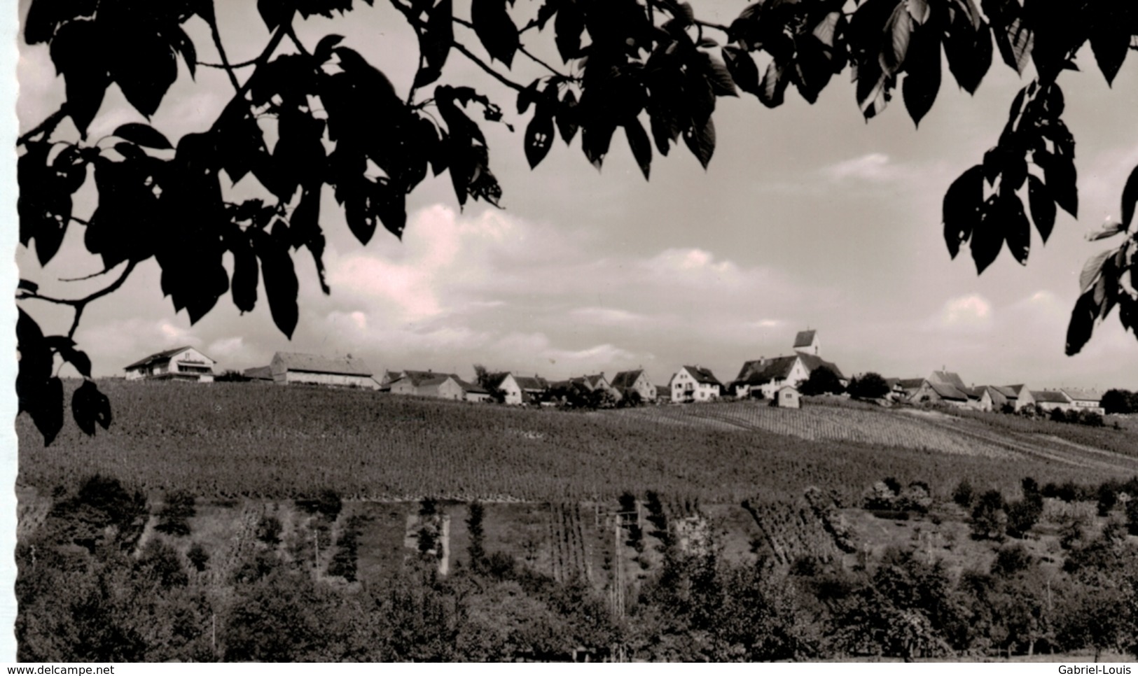 Haltingen (baden) Oetlingen - Weil Am Rhein