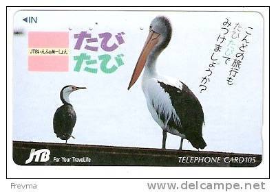 Japon Cormoran - Japan