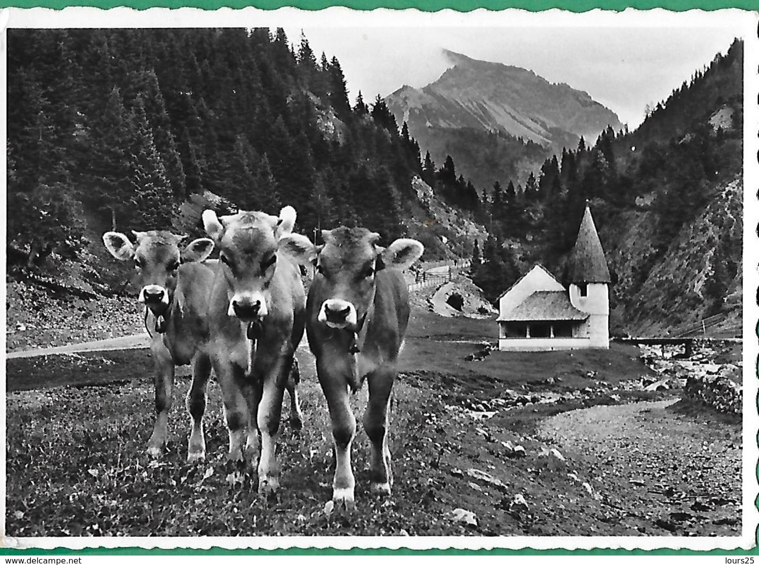 ! - Liechtenstein - Steg Im Fürstentum Liechtenstein - Liechtenstein