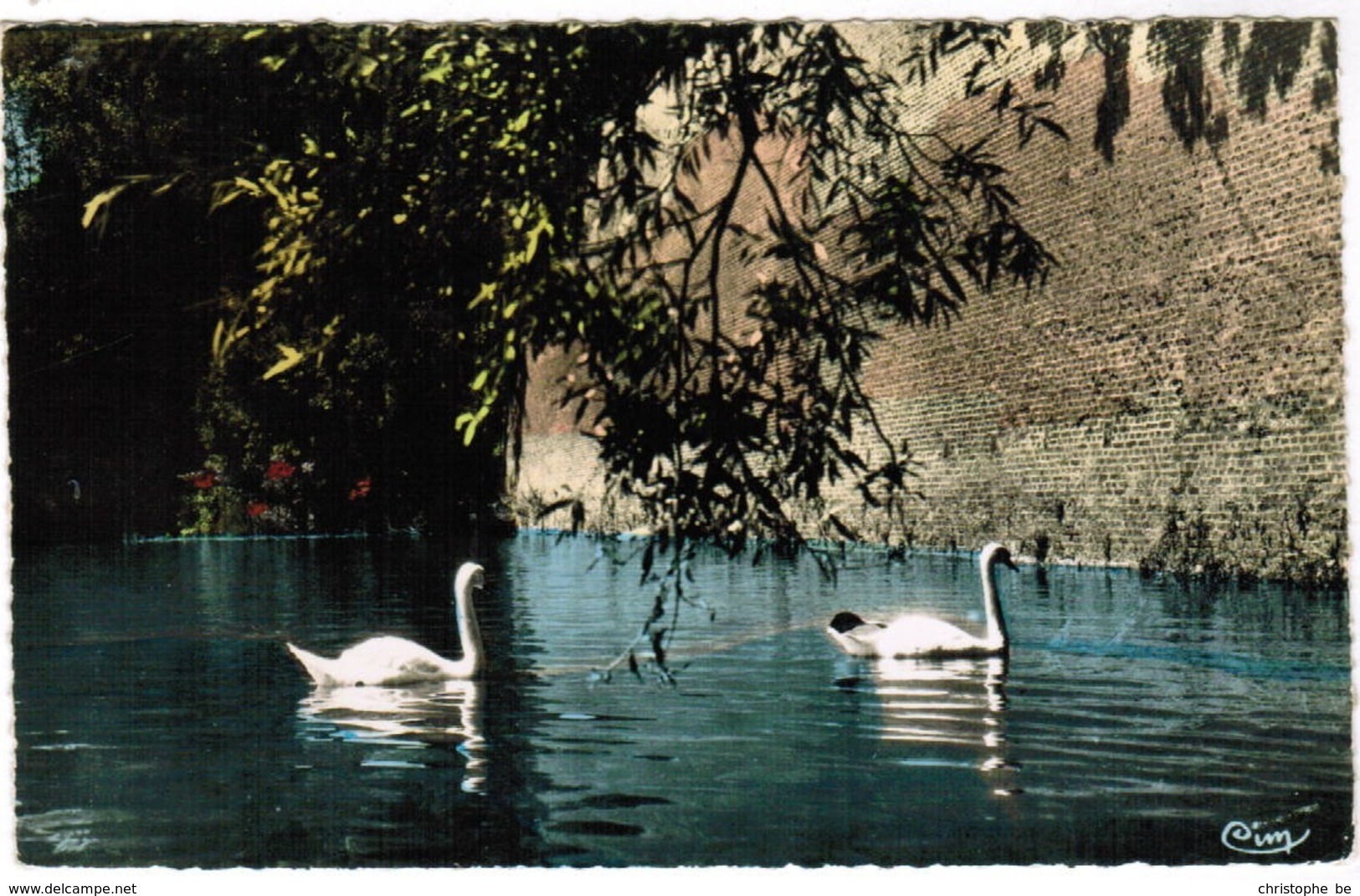 Le Quesnoy, Les Cygnes Du Lac Vauban (pk48277) - Le Quesnoy