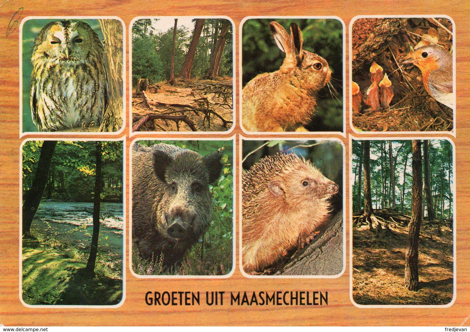 Groeten Uit Maasmechelen - Maasmechelen