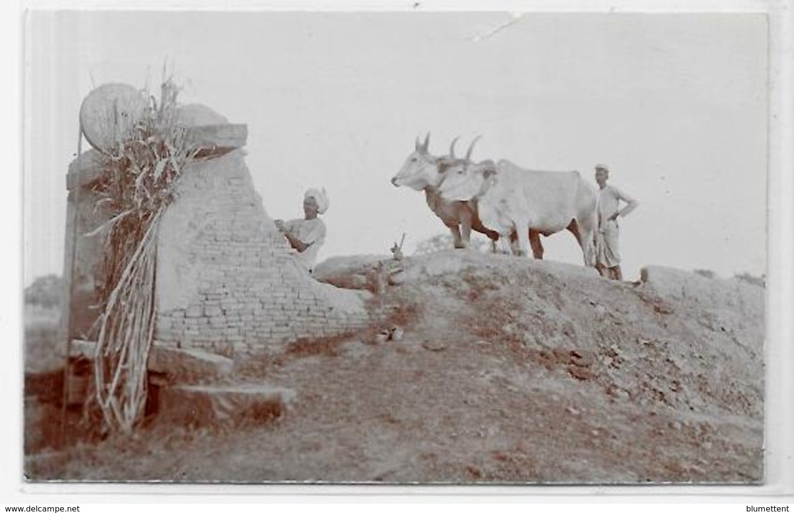 CPA Inde India Britannique Anglaise Non Circulé Type Ethnic Carte Photo RPPC Métier - India