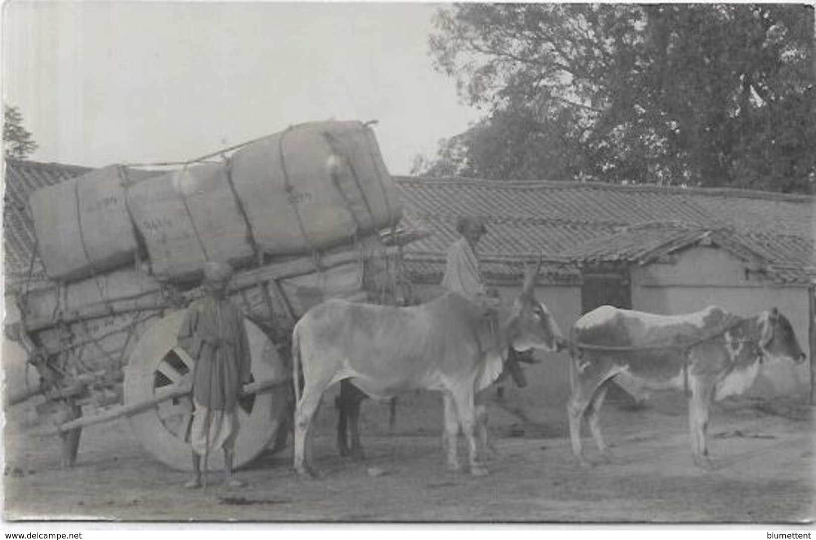 CPA Inde India Britannique Anglaise Non Circulé Type Ethnic Carte Photo RPPC Métier - Inde