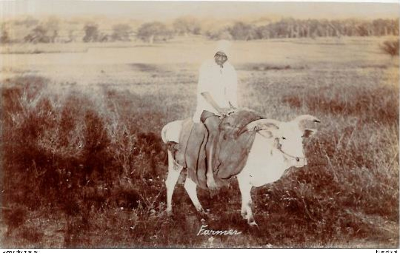 CPA Inde India Britannique Anglaise Non Circulé Type Ethnic Carte Photo RPPC Métier - Inde