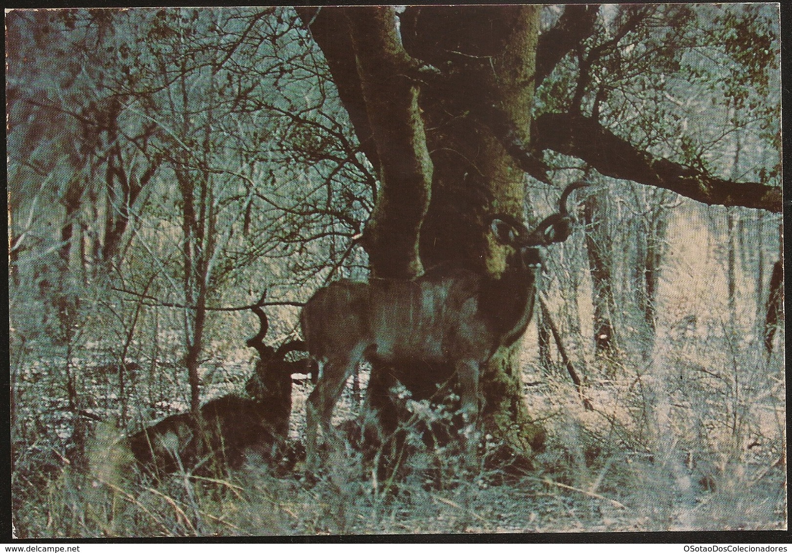 Postal Moçambique - Gorongosa - Olongo - Greater Kudu - African Wildlife Series - CPA - Postcard - Mozambique