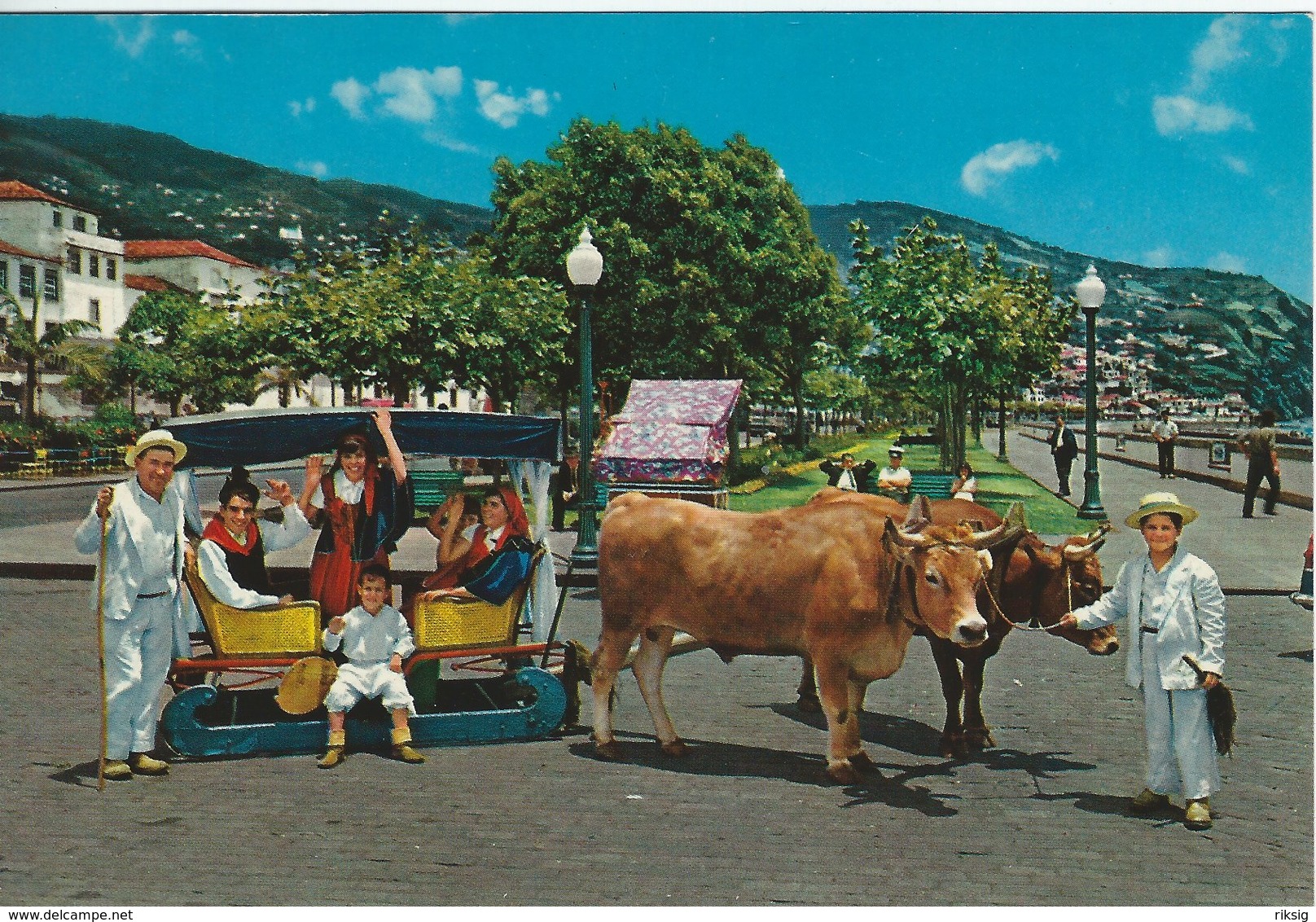 Funchal (Madeira)  Carro De Bois - Bullock Carro.     Portugal.  # 07709 - Madeira